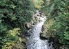 Coed y Brenin Forest, Snowdonia National Park