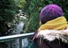 Coed y Brenin Forest, Snowdonia National Park