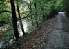 Coed y Brenin Forest, Snowdonia National Park