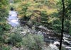 Coed y Brenin Forest, Snowdonia National Park