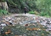 Coed y Brenin Forest, Snowdonia National Park