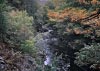 Coed y Brenin Forest, Snowdonia National Park