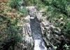 Coed y Brenin Forest, Snowdonia National Park