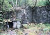 Coed y Brenin Forest, Snowdonia National Park