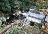 Coed y Brenin Forest, Snowdonia National Park