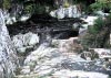 Coed y Brenin Forest, Snowdonia National Park