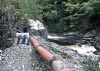 Coed y Brenin Forest, Snowdonia National Park