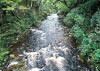 Coed y Brenin Forest, Snowdonia National Park