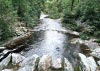 Coed y Brenin Forest, Snowdonia National Park