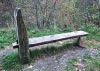 Coed y Brenin Forest, Snowdonia National Park