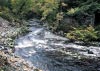 Coed y Brenin Forest, Snowdonia National Park