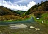 Cwm Hirnant & Penllyn Forest, Bala, Wales