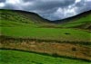 Cwm Hirnant & Penllyn Forest, Bala, Wales