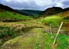 Cwm Hirnant & Penllyn Forest, Bala, Wales