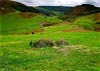 Cwm Hirnant & Penllyn Forest, Bala, Wales