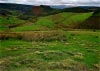 Cwm Hirnant & Penllyn Forest, Bala, Wales