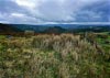 Cwm Hirnant & Penllyn Forest, Bala, Wales