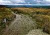 Cwm Hirnant & Penllyn Forest, Bala, Wales