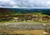 Cwm Hirnant & Penllyn Forest, Bala, Wales