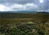 Cwm Hirnant & Penllyn Forest, Bala, Wales