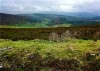 Cwm Hirnant & Penllyn Forest, Bala, Wales