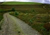 Cwm Hirnant & Penllyn Forest, Bala, Wales