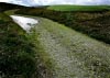 Cwm Hirnant & Penllyn Forest, Bala, Wales