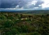 Cwm Hirnant & Penllyn Forest, Bala, Wales