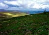 Cwm Hirnant & Penllyn Forest, Bala, Wales