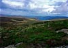 Cwm Hirnant & Penllyn Forest, Bala, Wales