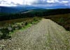 Cwm Hirnant & Penllyn Forest, Bala, Wales