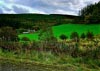 Cwm Hirnant & Penllyn Forest, Bala, Wales