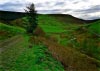 Cwm Hirnant & Penllyn Forest, Bala, Wales