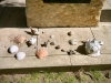 Armed Forces Memorial Arboretum, Alrewas [30/04/2025]