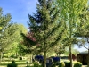 Armed Forces Memorial Arboretum, Alrewas [30/04/2025]