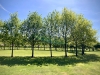 Armed Forces Memorial Arboretum, Alrewas [30/04/2025]
