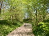 Crich Tramway Village, Matlock [29/04/2025]