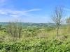 Crich Tramway Village, Matlock [29/04/2025]