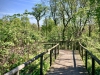 Crich Tramway Village, Matlock [29/04/2025]