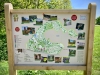 Rosliston Forestry Centre, Derbyshire [30/04/2025]
