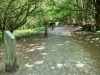 Rosliston Forestry Centre, Derbyshire [30/04/2025]