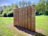 Rosliston Forestry Centre, Derbyshire [30/04/2025]