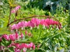 Shugborough Hall, Staffordshire [28/04/2025]