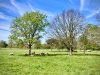 Shugborough Hall, Staffordshire [28/04/2025]