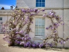 Shugborough Hall, Staffordshire [28/04/2025]