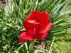 Shugborough Hall, Staffordshire [28/04/2025]