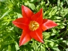 Shugborough Hall, Staffordshire [28/04/2025]