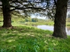 Shugborough Hall, Staffordshire [28/04/2025]