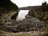 Howden Reservoir