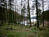 Howden Reservoir